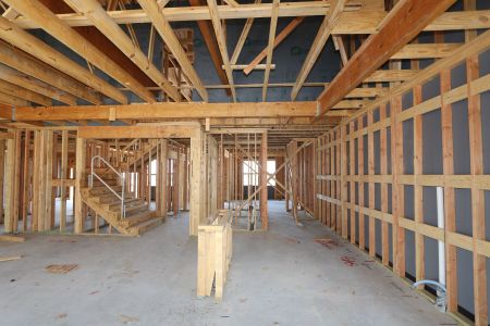 New construction Single-Family house 796 Faith Bud Lane, Lavon, TX 75166 Malmo- photo 19 19