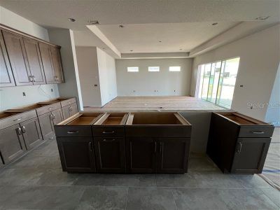 New construction Single-Family house 342 Mosaic Boulevard, Daytona Beach, FL 32124 - photo 5 5