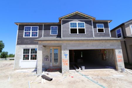 New construction Single-Family house 2522 Sunny Pebble Loop, Zephyrhills, FL 33540 Mira Lago- photo 83 83