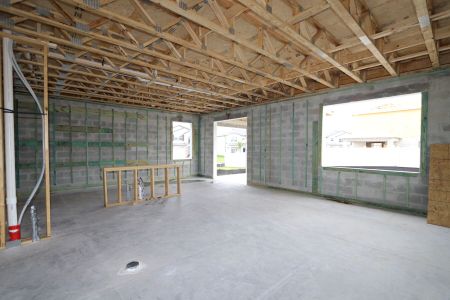 New construction Single-Family house 2463 Sunny Pebble Loop, Zephyrhills, FL 33540 Castellana- photo 15 15