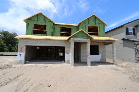 New construction Single-Family house 2530 Sunny Pebble Loop, Zephyrhills, FL 33540 Salinas- photo 20 20
