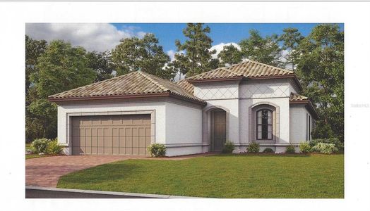 New construction Single-Family house 10727 Wicker Park Place, Palmetto, FL 34221 - photo 0