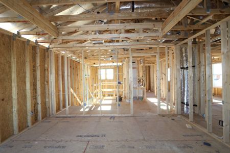 New construction Single-Family house 5254 Currant Street, Lakeland, FL 33811 Marina- photo 39 39