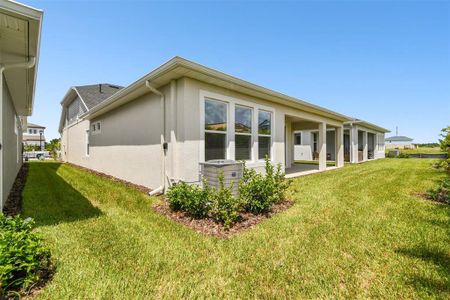 New construction Single-Family house 6165 Jensen View Avenue, Apollo Beach, FL 33572 The Stratum- photo 29 29