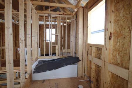 New construction Single-Family house 33251 Amling Pecan Branch, Wesley Chapel, FL 33545 Santa Monica- photo 24 24