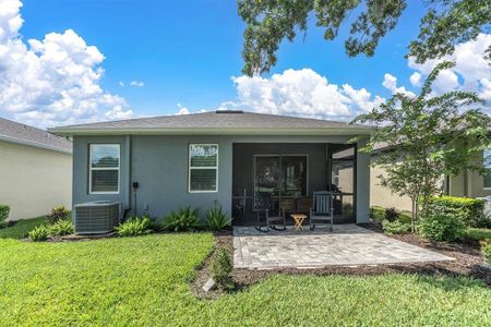 New construction Single-Family house 3730 Maxwell Park Dr, Sun City Center, FL 33573 - photo 24 24