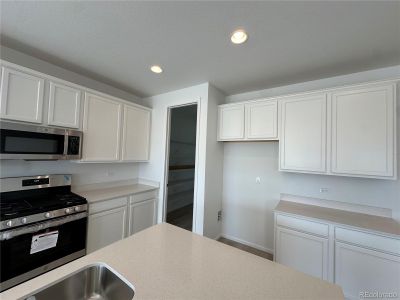 New construction Single-Family house 3803 Candlewood Drive, Johnstown, CO 80534 Elderberry- photo 6 6