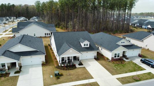 New construction Single-Family house 1005 Locals Street, Summerville, SC 29485 - photo 43 43