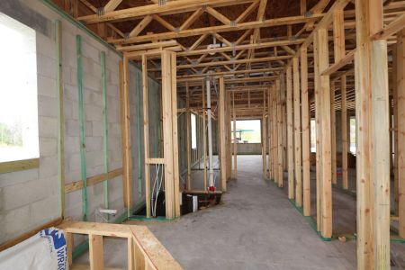 New construction Single-Family house 10614 New Morning Drive, Tampa, FL 33647 Grandsail  III- photo 4 4