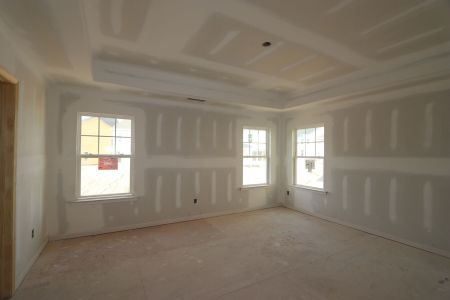 New construction Single-Family house 3005 June Lake Station, Apex, NC 27502 Viola - Premier Collection- photo 40