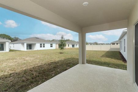 New construction Single-Family house 9656 Rampart Road, Leesburg, FL 34788 Magnolia- photo 31 31