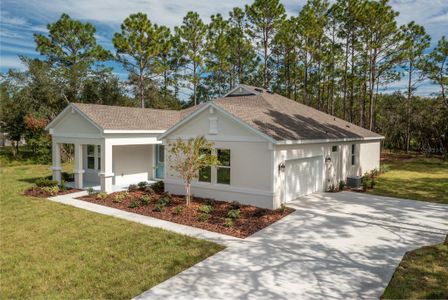 New construction Single-Family house 761 N Spend A Buck Drive, Inverness, FL 34453 - photo 22 22