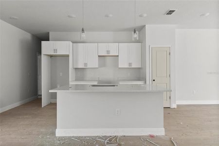 New construction Single-Family house 10461 N Adler Drive, Citrus Springs, FL 34434 - photo 5 5
