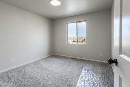 New construction Townhouse house 5036 McKinnon Court, Timnath, CO 80547 Howes- photo 35 35