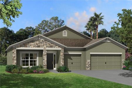 New construction Single-Family house 5082 Bromeliad Avenue, Wimauma, FL 33598 Barcello- photo 0