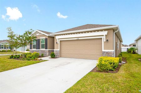 New construction Single-Family house 13370 Waterleaf Garden Circle, Riverview, FL 33579 - photo 72 72