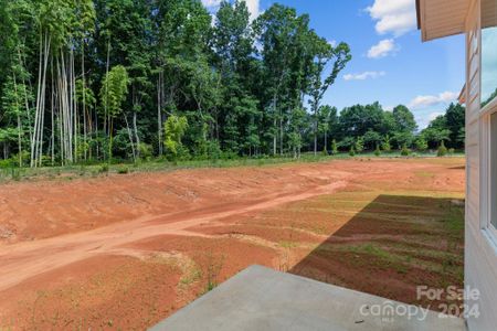 New construction Single-Family house 245 Warfield Drive, Mooresville, NC 28115 - photo 28 28