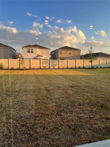 New construction Single-Family house 6430 Milestone Loop, Palmetto, FL 34221 - photo 19 19