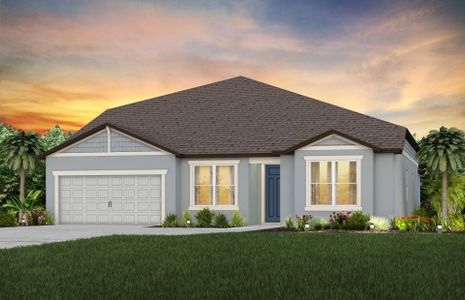 New construction Single-Family house Easley Grand, 12047 Orchid Ash Street, Riverview, FL 33579 - photo