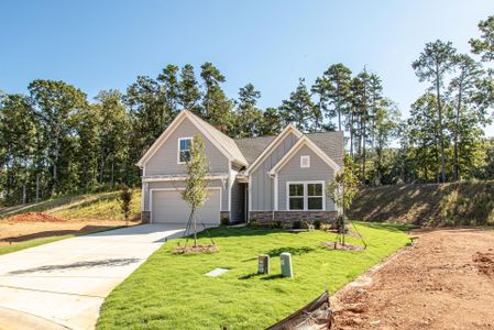 New construction Single-Family house Milo, 408 Avocet Drive, Summerville, SC 29486 - photo