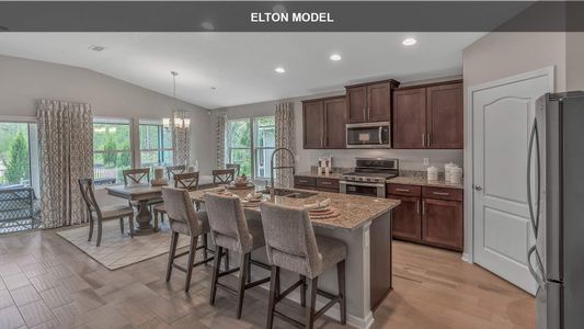 New construction Single-Family house Elton, 4 Summerwood Road South, Palm Coast, FL 32137 - photo