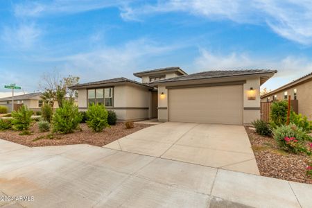 New construction Single-Family house 5054 N 183Rd Drive, Litchfield Park, AZ 85340 - photo 13 13