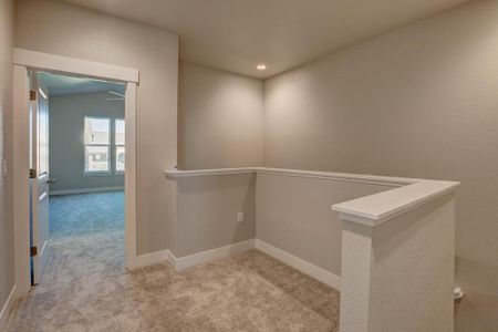 New construction Townhouse house 6248 Vernazza Way, Windsor, CO 80550 - photo 78 78