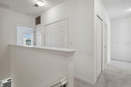 New construction Townhouse house 5783 Spotted Harrier Way, Lithia, FL 33547 - photo 13 13