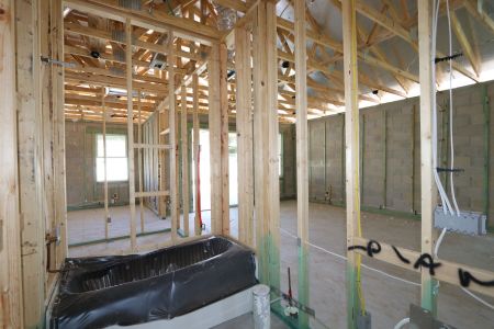New construction Single-Family house 31843 Sapna Chime Drive, Wesley Chapel, FL 33545 Picasso- photo 44 44
