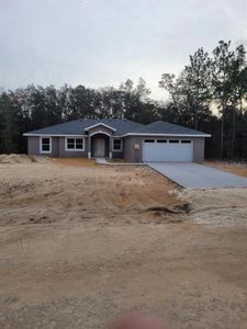 New construction Single-Family house 16348 Courlan Road, Weeki Wachee, FL 34614 - photo 0
