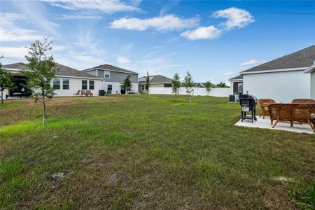 New construction Single-Family house 6859 Perch Hammock Loop, Groveland, FL 34736 - photo 19 19