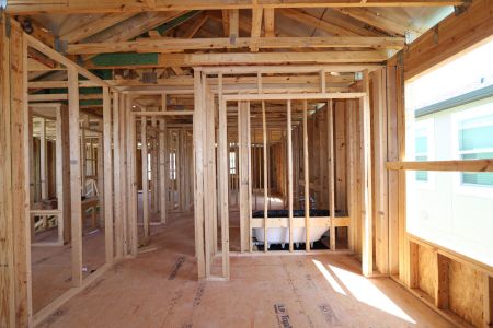 New construction Single-Family house 3007 Adams Cross Drive, Zephyrhills, FL 33540 Miralles- photo 7 7