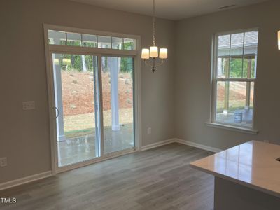 New construction Single-Family house 3056 June Lake Station, Apex, NC 27502 Viola - Premier Collection- photo 10 10