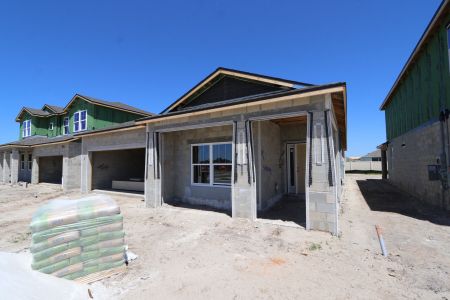 New construction Single-Family house 31843 Sapna Chime Drive, Wesley Chapel, FL 33545 Picasso- photo 59 59