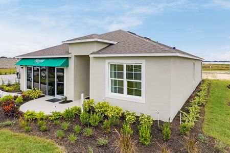 New construction Single-Family house Cali, 707 Griffon Avenue, Lake Alfred, FL 33850 - photo