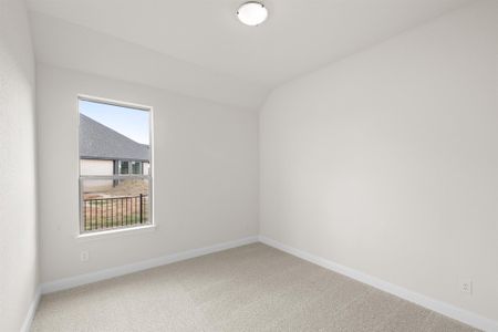 New construction Single-Family house 516 Riverbank Court, Granbury, TX 76049 Concept 2533- photo 46 46