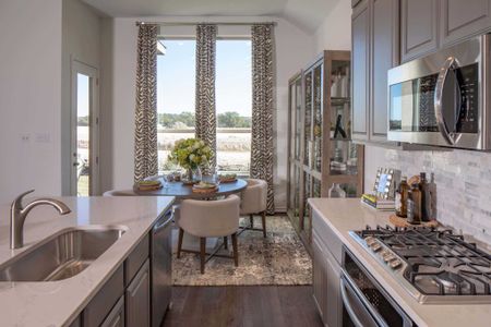 Wildflower Ranch: Artisan Series - 60ft. lots by Highland Homes in Dish - photo 45 45