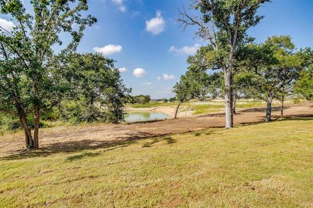 New construction Single-Family house 115 Coalson Crossing, Azle, TX 76020 - photo 36 36