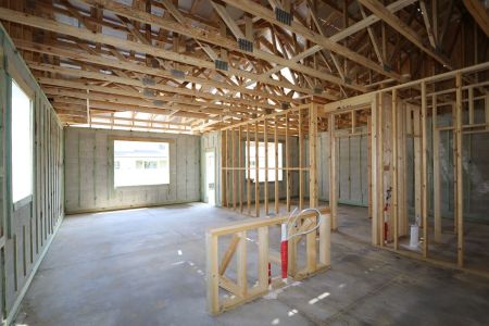 New construction Single-Family house 2822 Misty Marble Drive, Zephyrhills, FL 33540 Herrera- photo 21 21