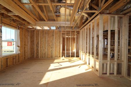 New construction Single-Family house 12114 Hilltop Farms Drive, Dade City, FL 33525 Alenza- photo 49 49