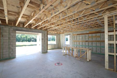 New construction Single-Family house 10724 New Morning Drive, Tampa, FL 33647 Coronado II- photo 14 14