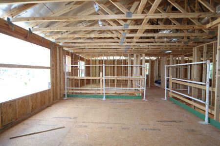 New construction Single-Family house 9611 Crescent Ray Drive, Wesley Chapel, FL 33545 Dali- photo 27 27