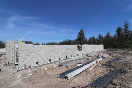 New construction Single-Family house 7746 Hemlock Seed Drive, Wesley Chapel, FL 33545 Corina  III Bonus- photo