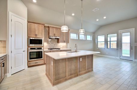 New construction Single-Family house 1659 Dirndl, New Braunfels, TX 78132 Premier Series - Palm- photo 13 13
