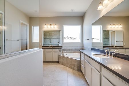 New construction Single-Family house 18903 West McLellan Road, Waddell, AZ 85355 - photo 14 14