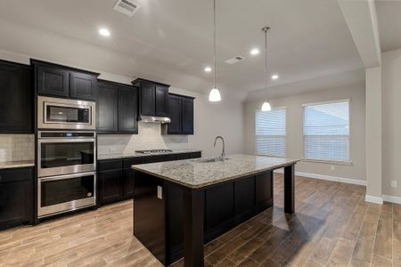 New construction Single-Family house 3688 Rolling Meadows Drive, Grand Prairie, TX 76065 - photo 80 80