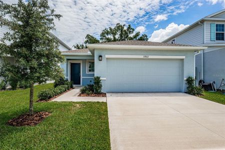 New construction Single-Family house 11922 Bristol Bridge Road, Spring Hill, FL 34610 - photo 0