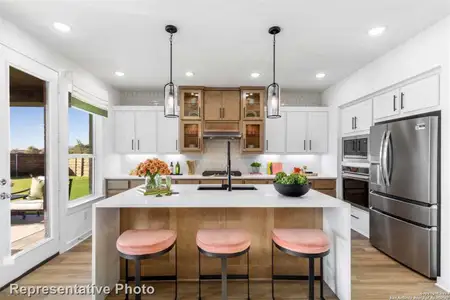 New construction Single-Family house 300 White Oak, Castroville, TX 78009 Rodin Plan- photo