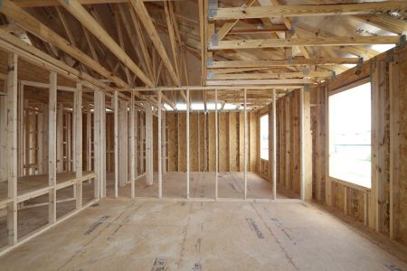 New construction Single-Family house 9358 Crescent Ray Drive, Wesley Chapel, FL 33545 Renau- photo 21 21
