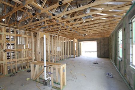 New construction Single-Family house 33224 Amling Pecan Branch, Wesley Chapel, FL 33545 Newport II- photo 5 5